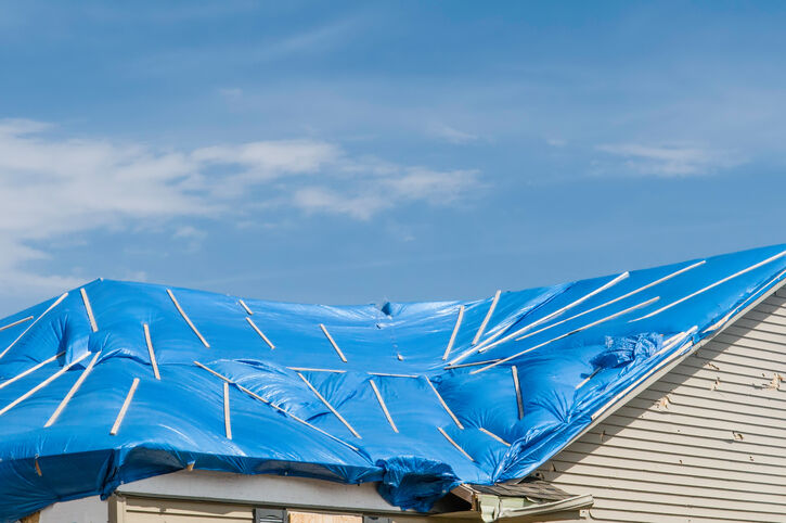 Roof tarp installation by MC Roofing Management LLC